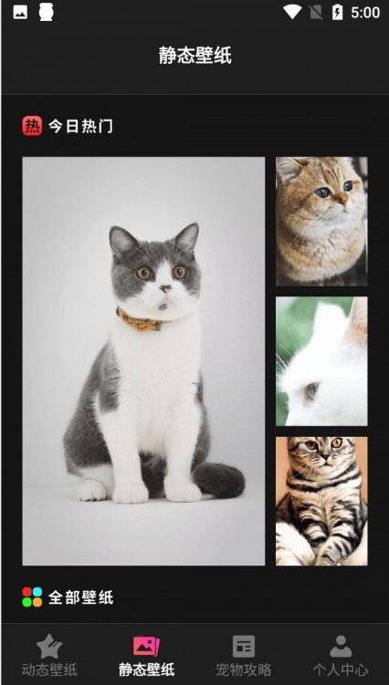 猫咪壁纸官方版免费下载安装